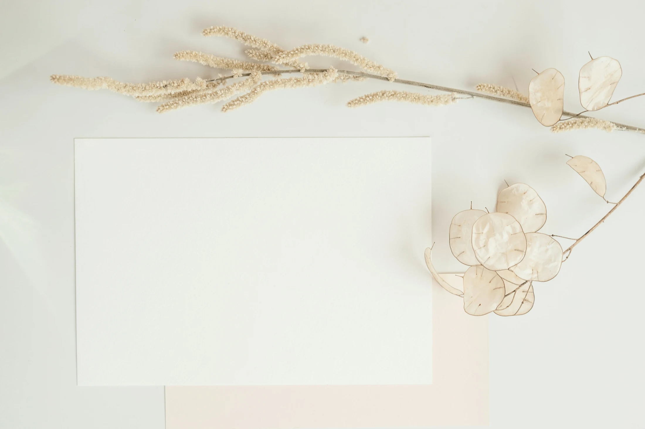 Heller botanischer Hintergrund